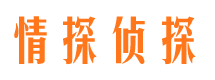 南涧侦探公司